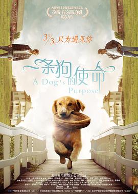 朝鲜时代的年幼的夫人