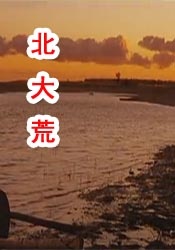 伊人干综合