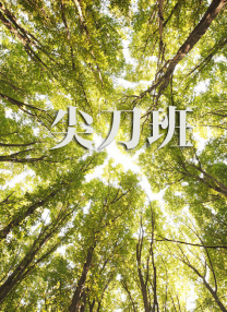 91探花福利精品国产自产在线