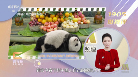 公妇借种林娇h